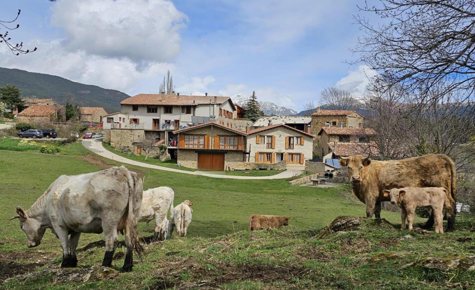 Campelles Can Tubau - Casa Rural - Apartaments المظهر الخارجي الصورة